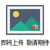 BSZ防爆石英鐘